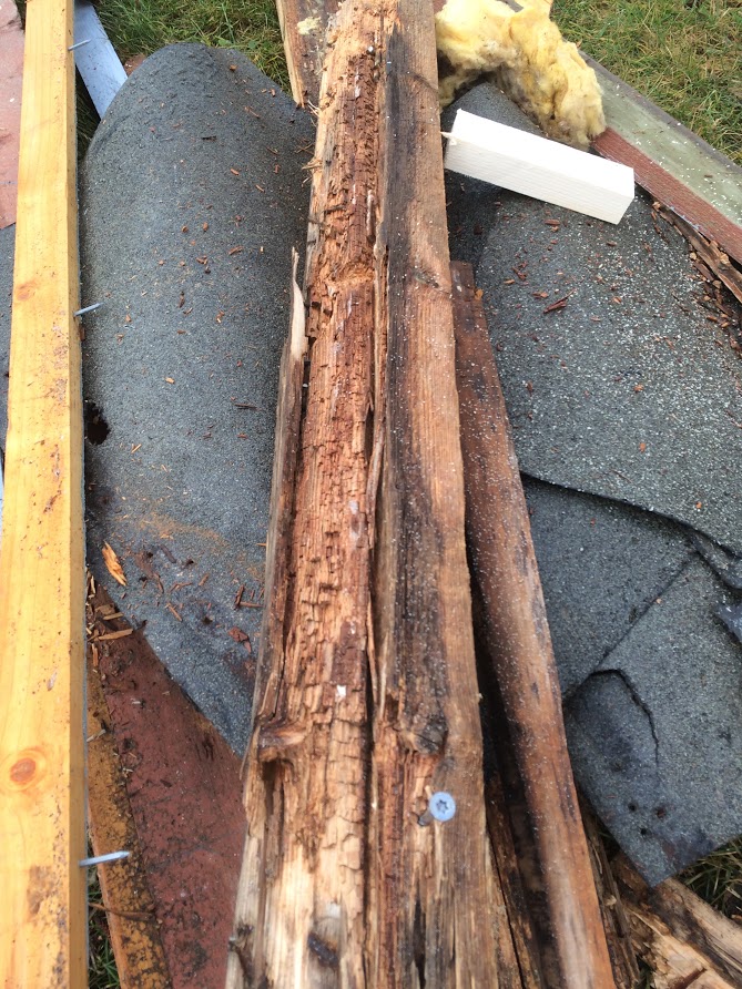 Brun trestokk som går delvis i oppløsning. Foto. 