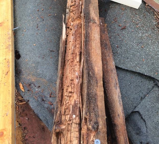 Brun trestokk som går delvis i oppløsning. Foto.