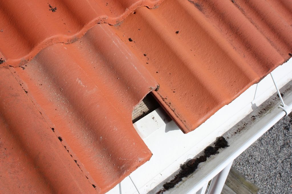 Skadet takstein. Foto. 