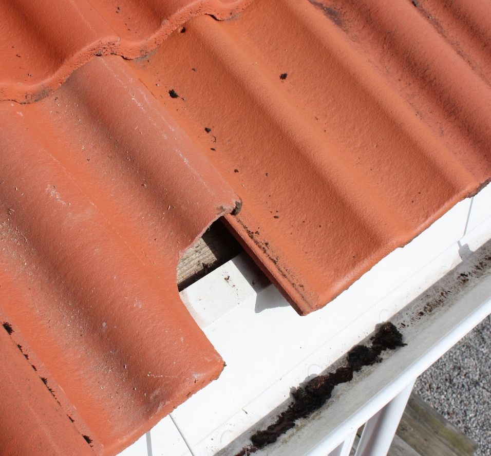 Nærbilde av en takstein hvor en bit har brukket av slik at man ser ned på treverket under. Foto.