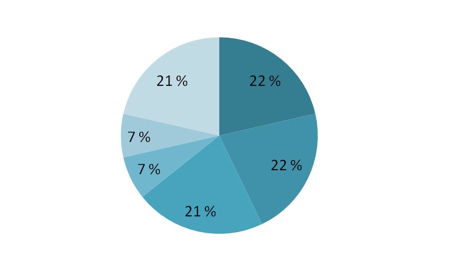 Sektordiagram. En sirkel som er delt opp i kakestykkeliknende biter som viser hvor stor prosentdel de enkelte elementene utgjør av helheten. Bitene er holdt i ulike blåtoner. Skjermdump.