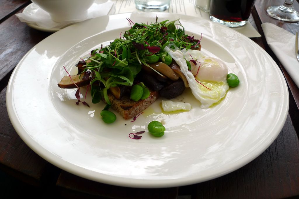  Foto av en rett bestående av grovt brød med posjert egg, stekt sopp og assortert salat.