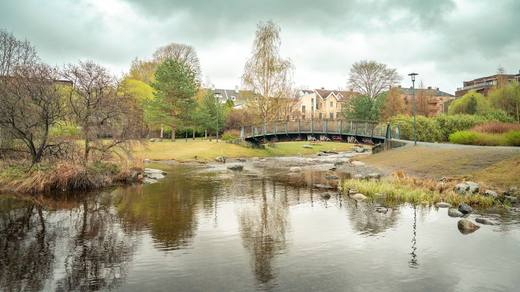 Dam og gangbru i eit grønt parkområde. Foto.