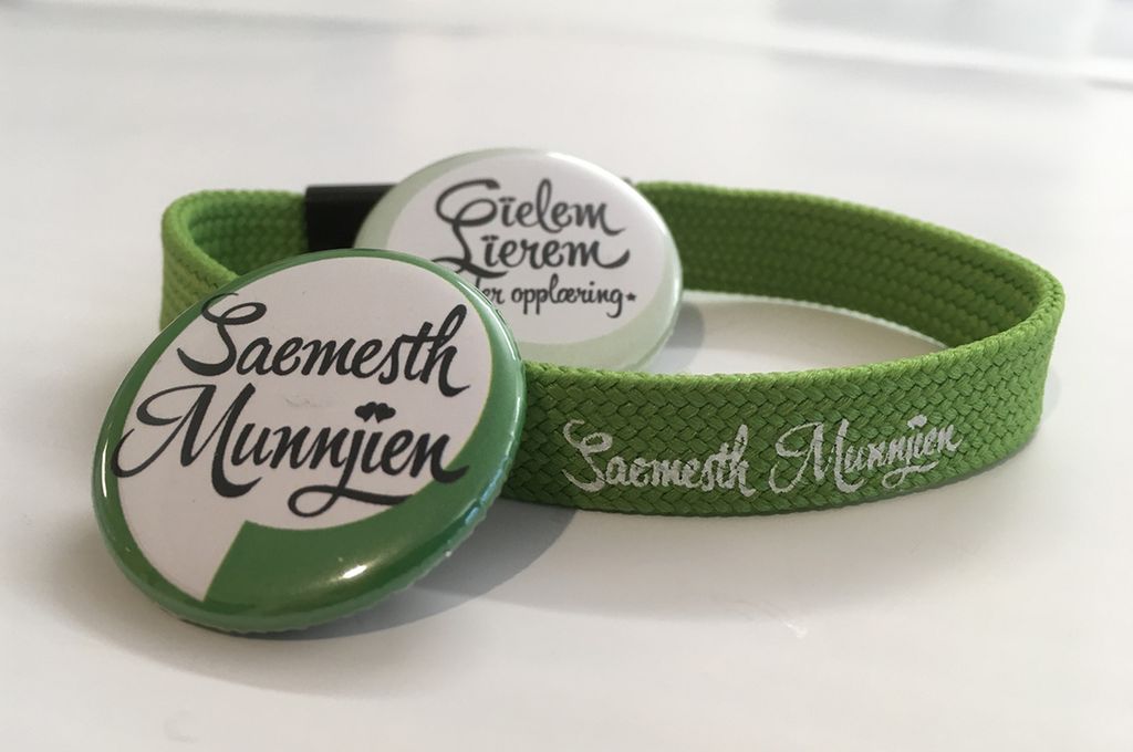 Kruana jïh veelkes båaloeh jïh gïetebaante kampanjeste «Saemesth munnjien». Guvvie.