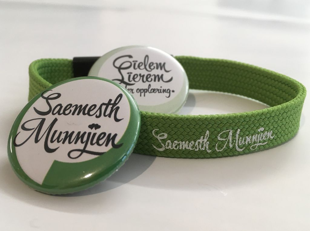 Båaloeh jïh gïetebaante kampanjeste Saemesth munnjien. Guvvie.
