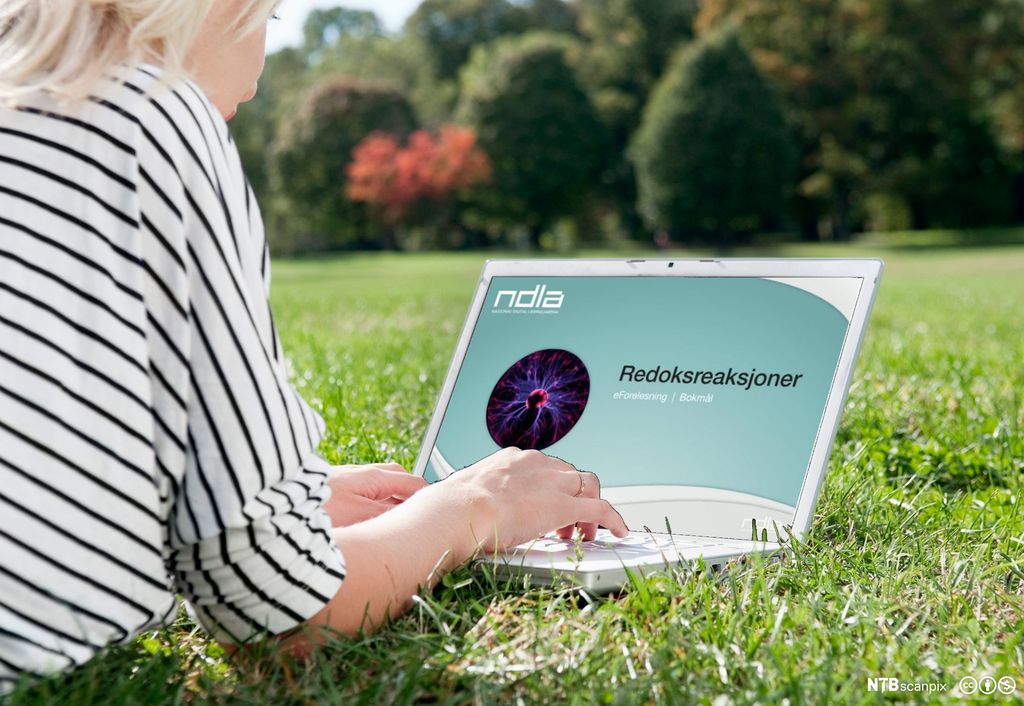 Jente ligger på magen på gresset med PC. Foto