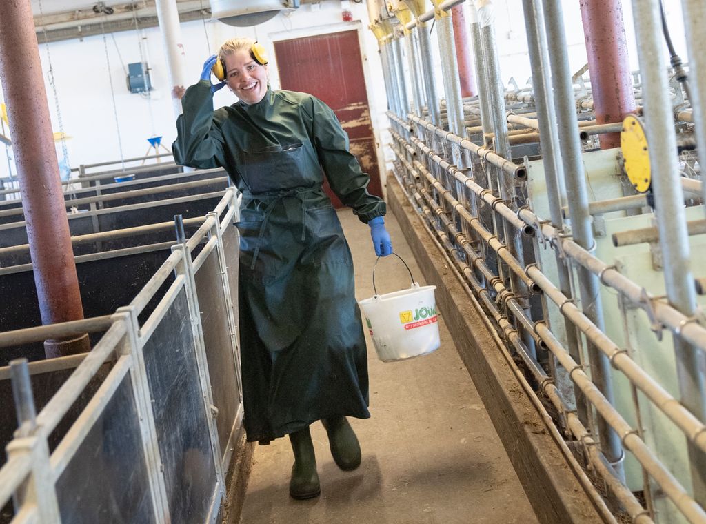 Smilende kvinne med dyrlegefrakk på vei inn i et grisefjøs. Hun har hørselvern og bærer ei bøtte med utstyr. Foto.