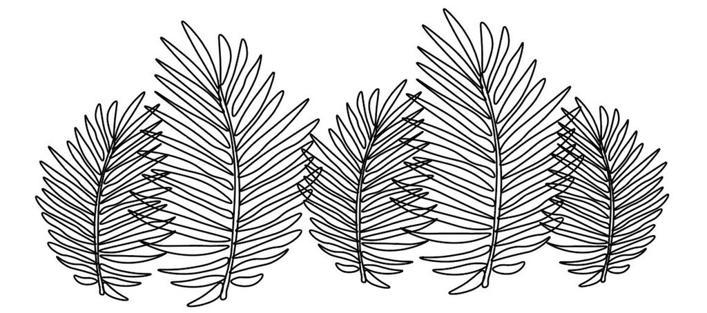 Strektegning av blader. Illustrasjon.