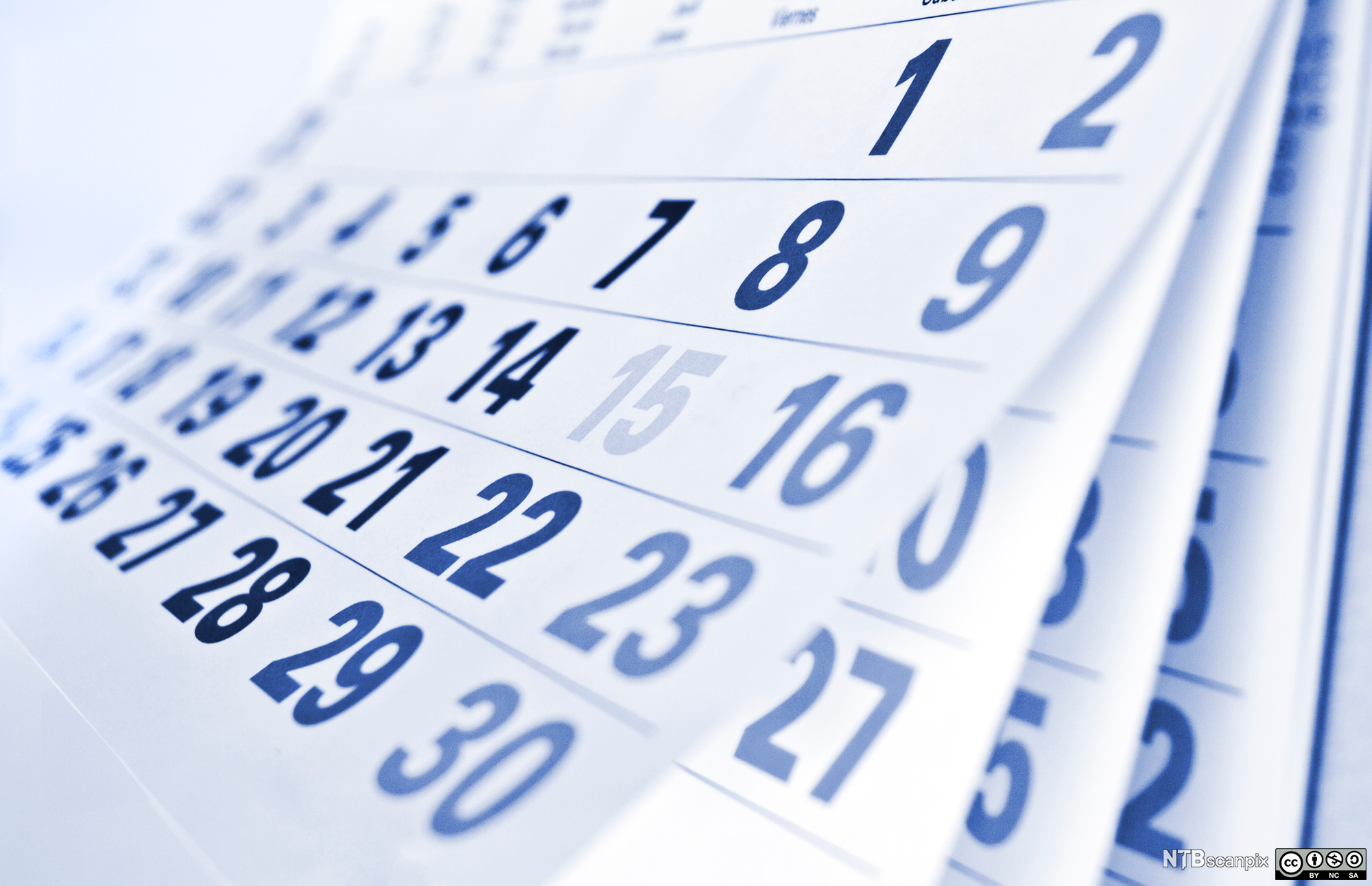 Et kalenderblad med tallet 15 uthevet med grå skrift. Foto.