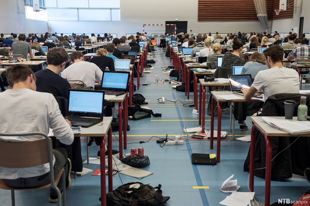 Elever jobber med skriftlig eksamen på PC i en stor treningshall. Foto.