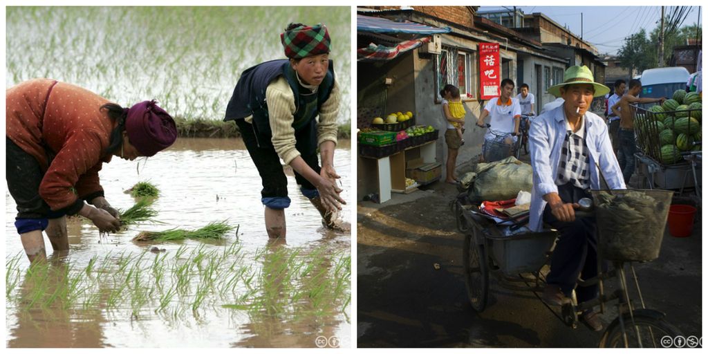 To kvinner setter risplanter og en mann sitter på sykkelen sin i en fattig bydel i Kina. Kollasj.
