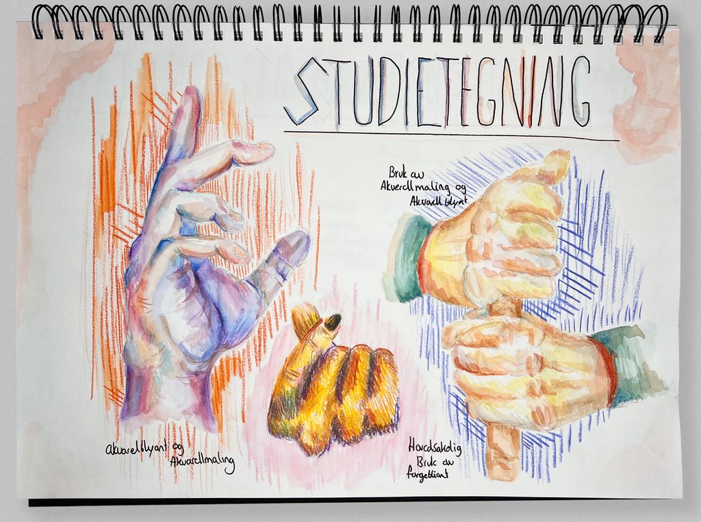 Studieteikningar av hender i ulike positurar. Foto.