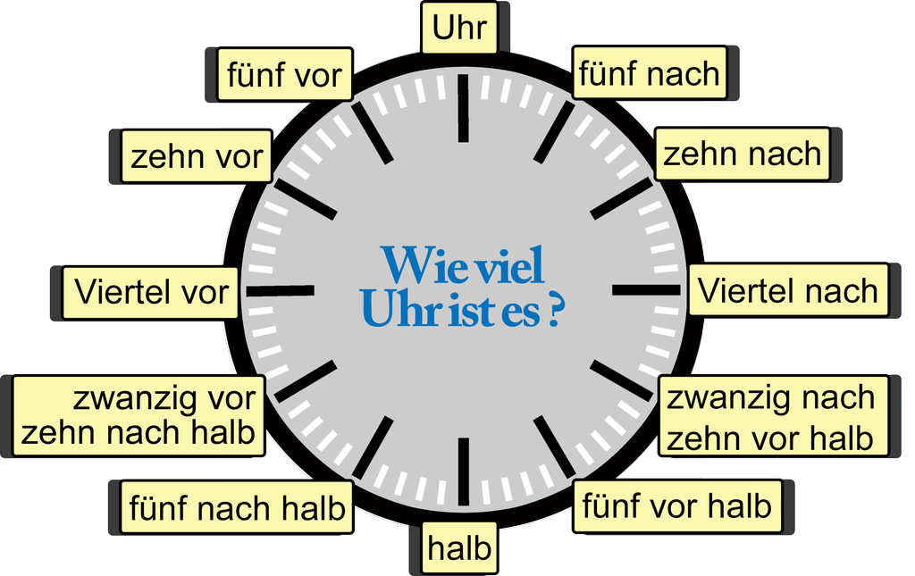 Urskive. Illustrasjon.