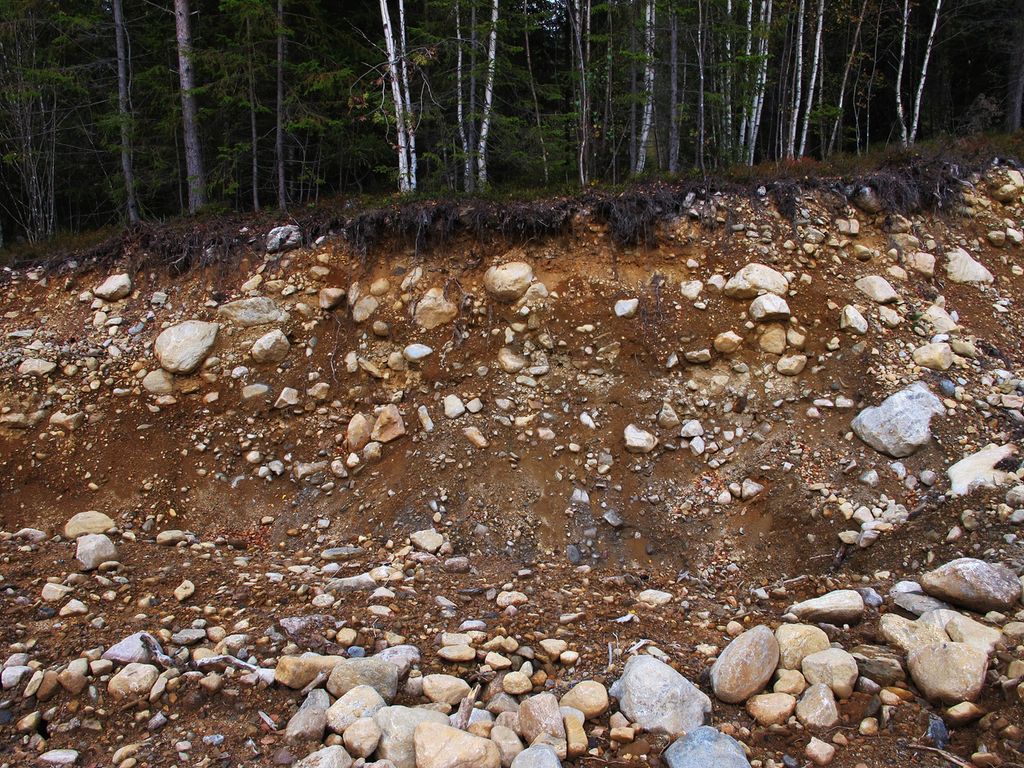 Skråning hvor jorda under bakken har blitt synlig. Jorda består av brun sand med steiner i mange ulike størrelser. Foto.