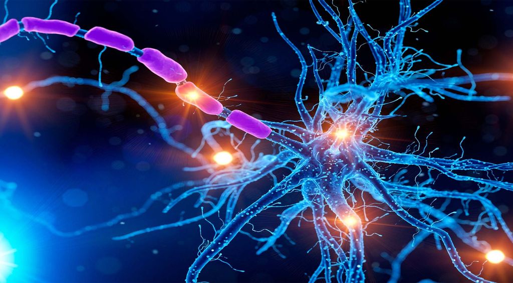 Illustrasjon av nerve med myelin på aksonet og lysglimt som illustrerer impulser