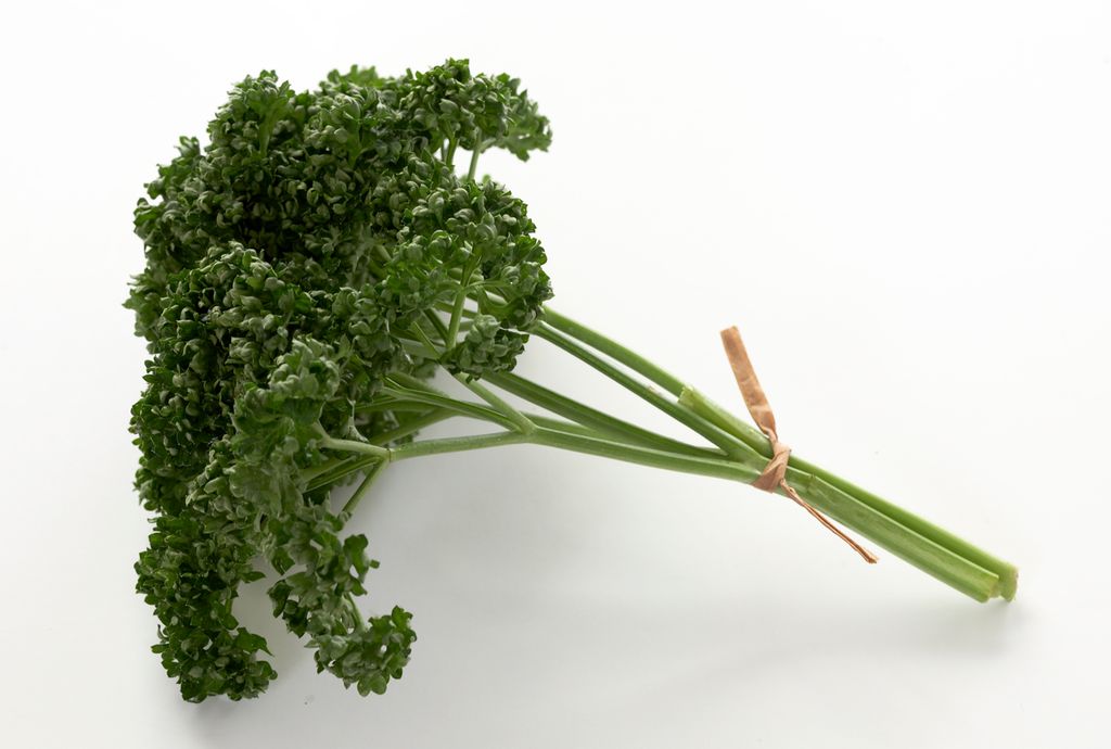 Kruspersillebunt. Foto.