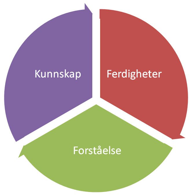Sirkel delt opp i tre deler: Kunnskaper, ferdigheter og forståelse. Illustrasjon.
