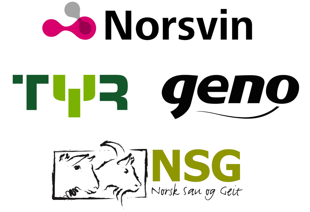 Kollasj som viser logoene til de fire store avlssamvirkene: Norsvin, TYR, Geno og Norsk Sau og Geit. Illustrasjon.