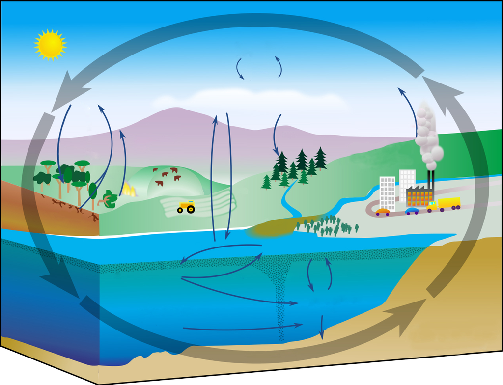 Eanadat njuolaiguin mat govvidit karbona jođu. Govus. 