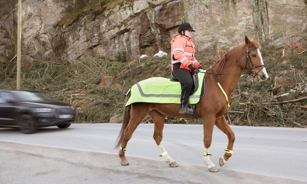 Hest og rytter langs en vei. Bak kommer en bil i fart. Foto.