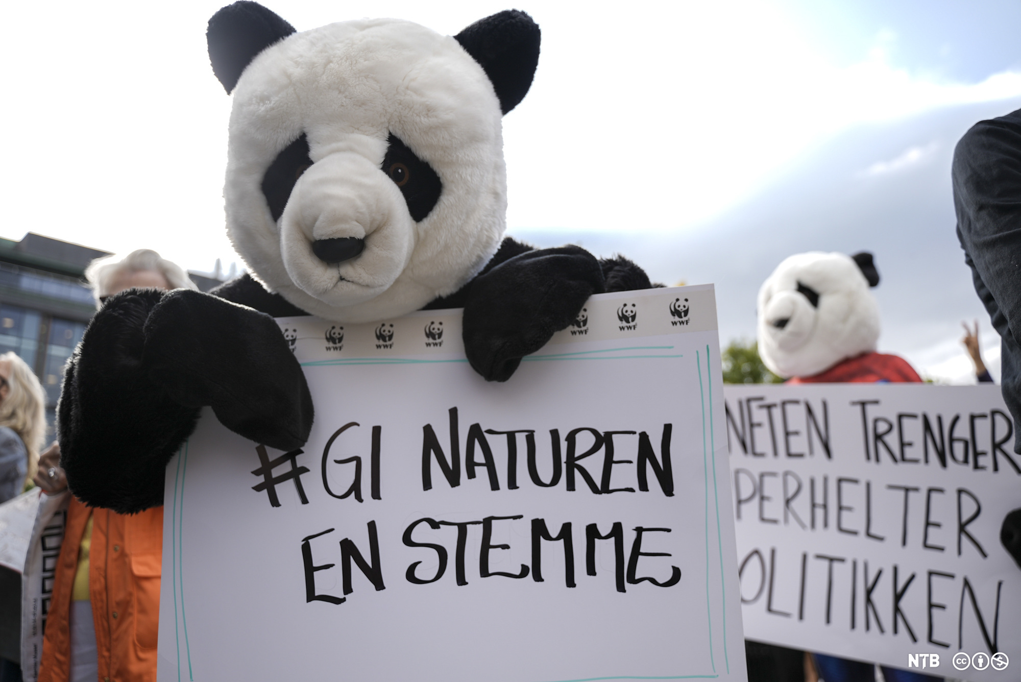 En stor pandabamse som holder en plakat med teksten "#Gi naturen en stemme". Foto.