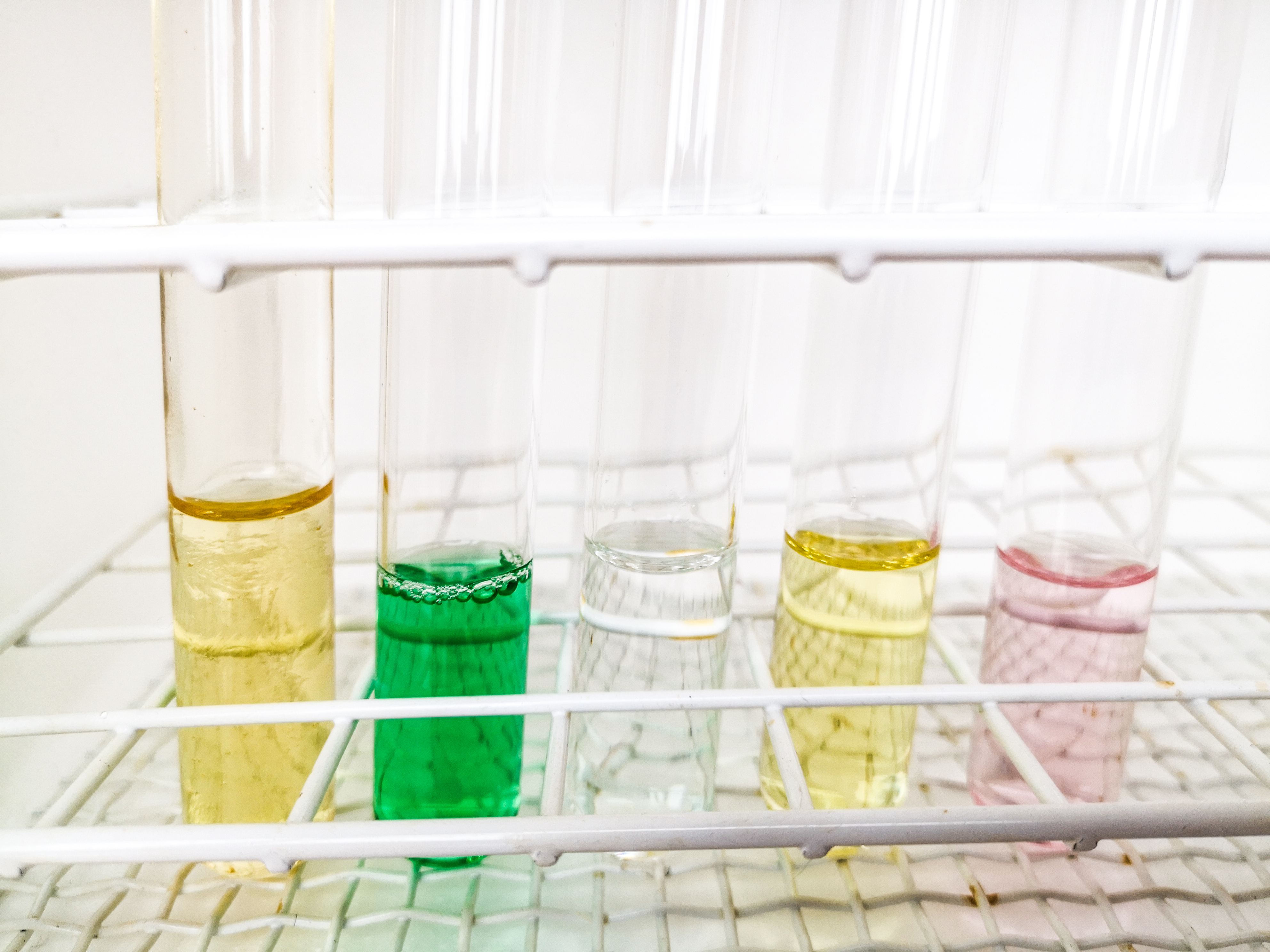 Fem reagensglass med fargede løsninger. Foto.