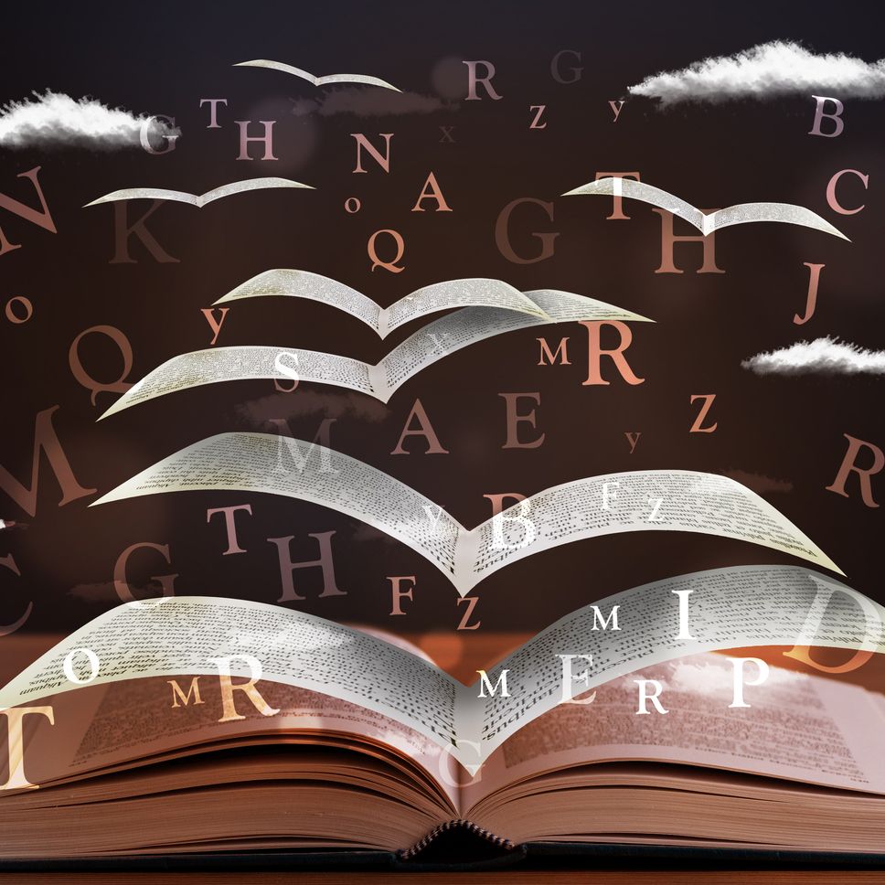 Boksider som løsner og blir til hvite svaner. Bearbeidet foto.