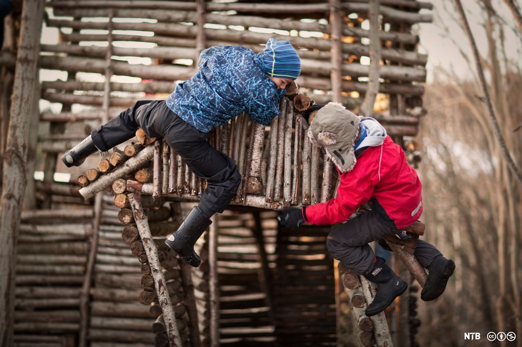 To gutter klatrer ned fra taket på ei trehytte. Foto.