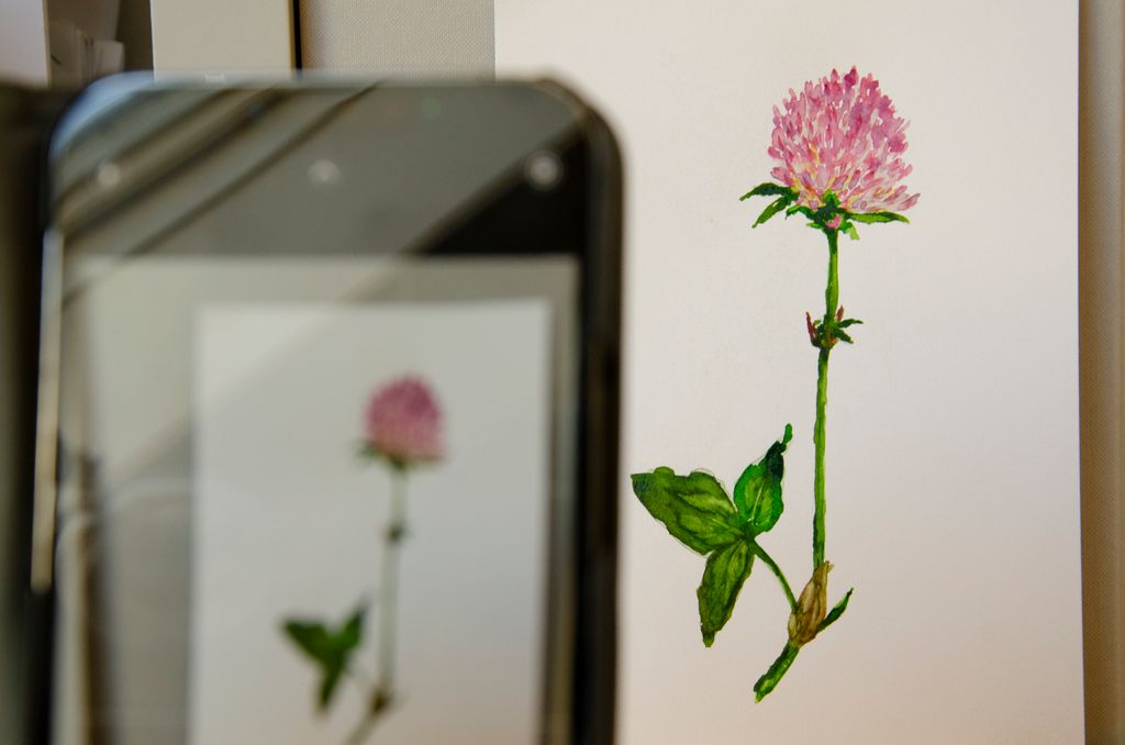 En mobiltelefonskjerm viser en akvarell av en blomst for avfotografering. Foto.