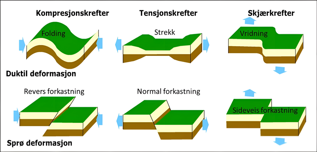 Dannelse av ulike fellestrukturer. Illustrasjon.