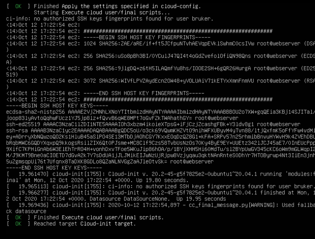 Mange linjer med tidspunkt og status på oppgaver. Skjermbilde fra Ubuntu Server 20.04.