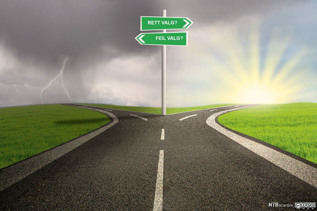 Vei som skiller seg i en rett og en gal retning. Foto.