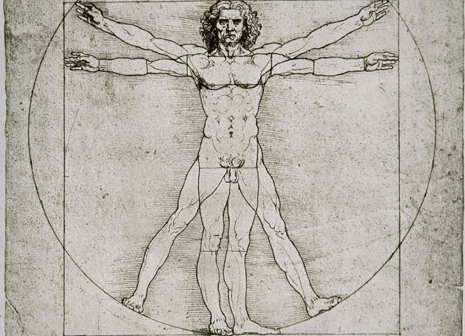 Leonardo da Vinci sin kjende illustrasjon av ein menneskekropp som studieobjekt. Gammal illustrasjon.