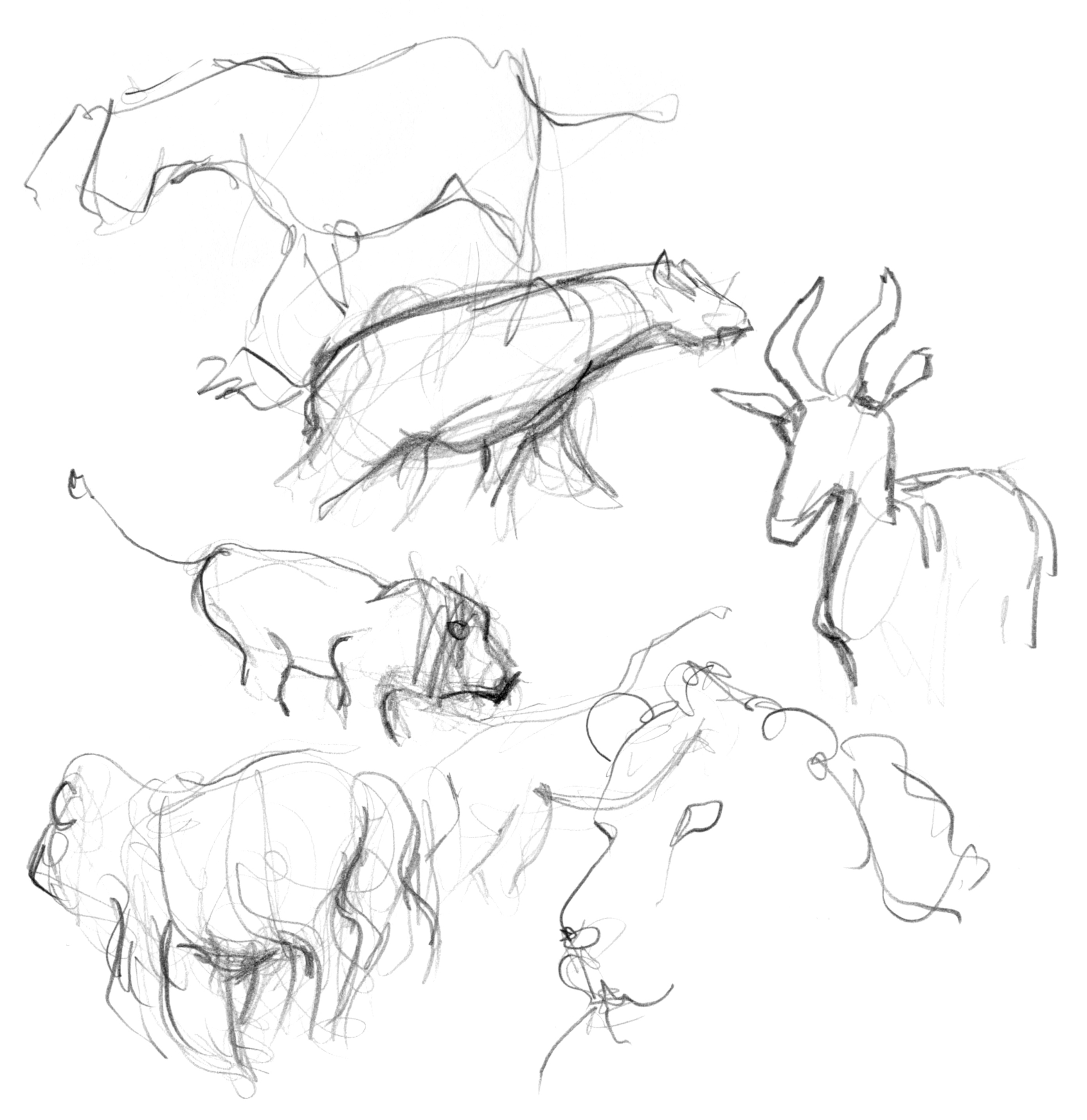 Raske skisser av ulike dyr. Illustrasjon.