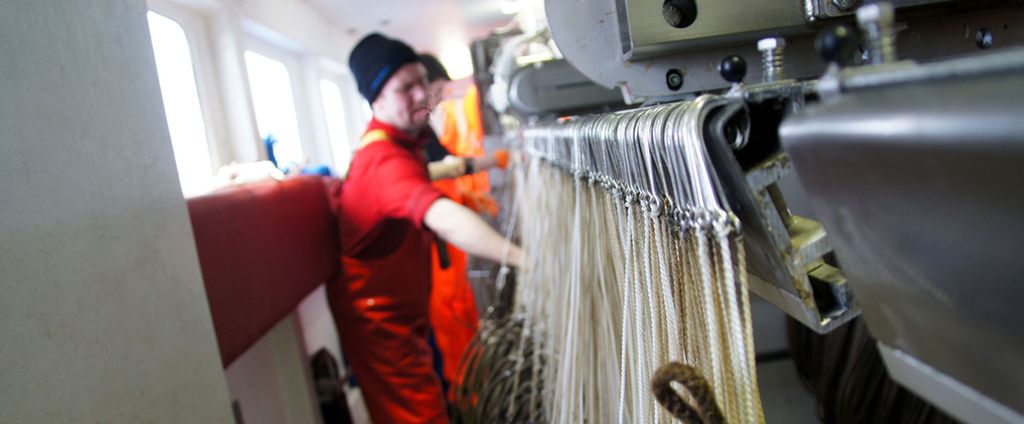 Krokmagasin på fiskebåt. Foto.