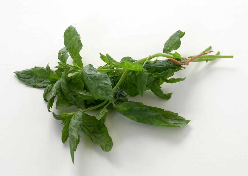 Liten bunt mynte. Foto.