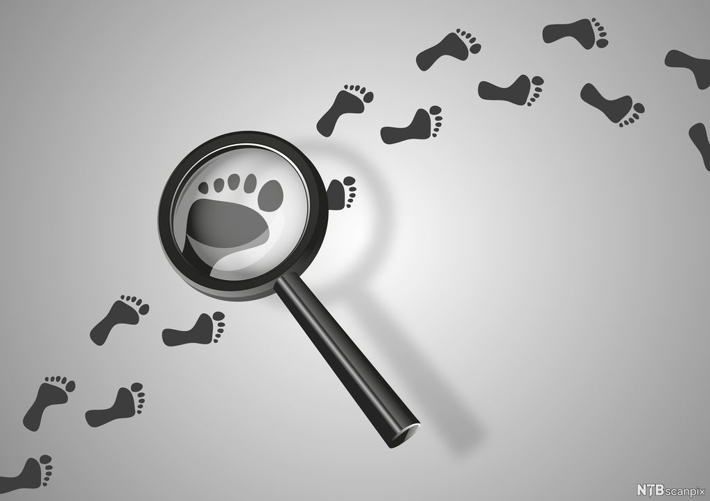 Lupe som forstørrer ett av mange fotavtrykk. Illustrasjon.