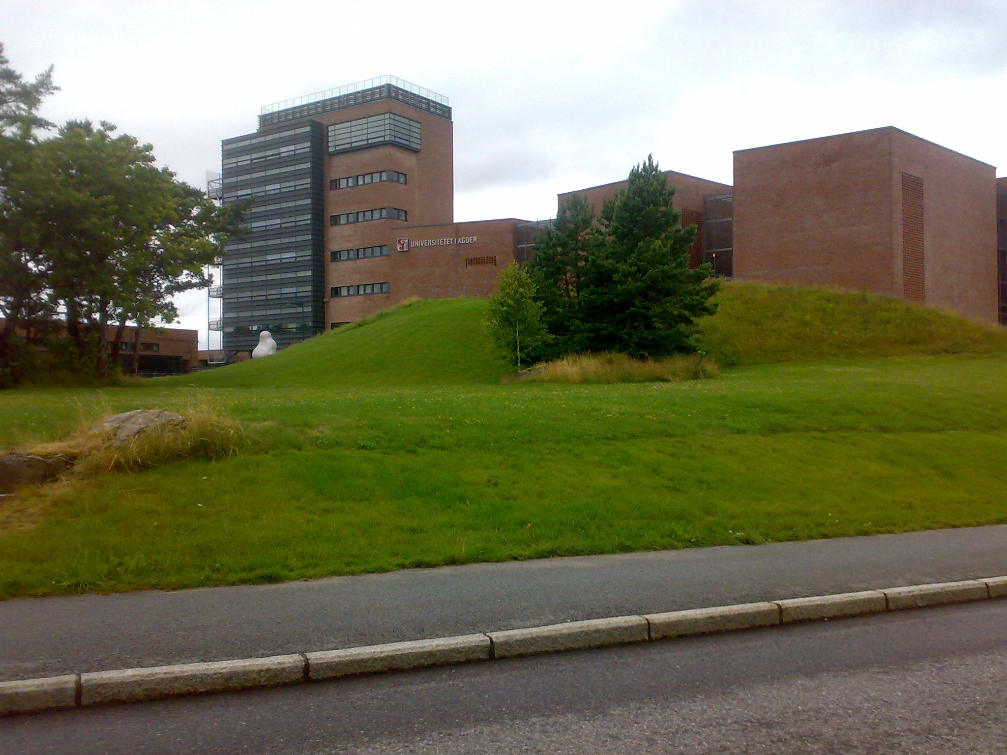 Bildet viser et universitetsområde med bygninger og grøntarealer. Bygningene har en moderne arkitektur. Foto.
