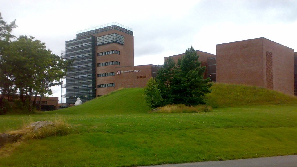 Bildet viser et universitetsområde med bygninger og grøntarealer. Bygningene har en moderne arkitektur. Foto.