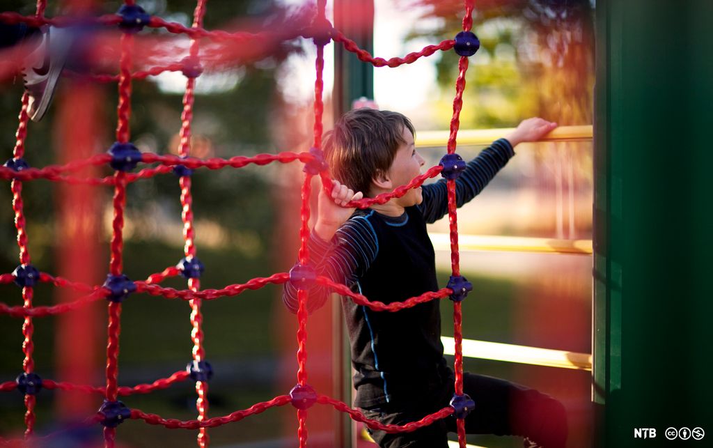 Gutt leker i et klatrestativ. Foto.