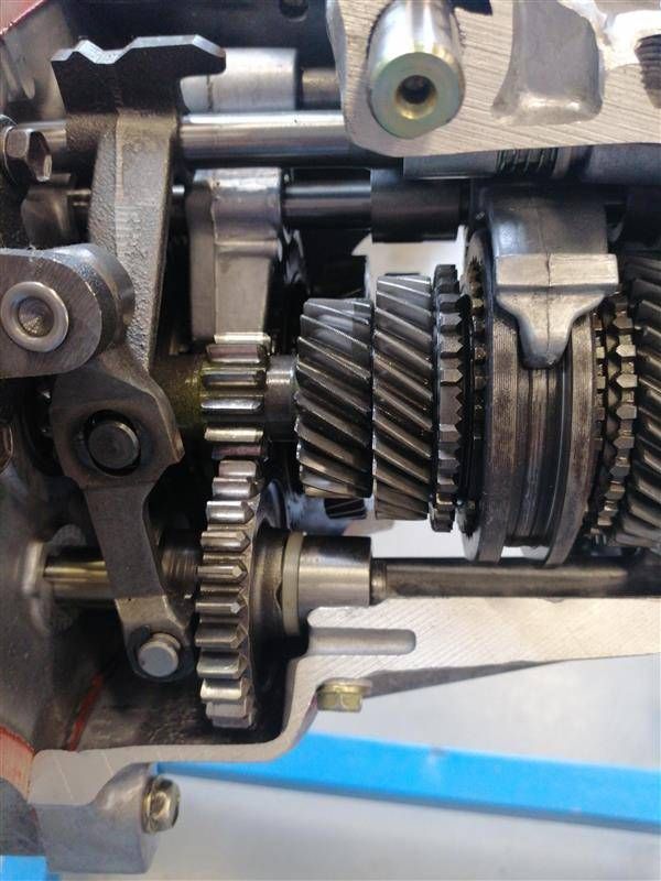 Aksling med to tannhjul som griper inn i hverandre og diverse ringer og drev. Foto.