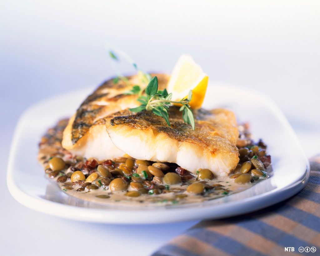 En tallerken med stekt fiskefilet på en seng av linser. Foto.