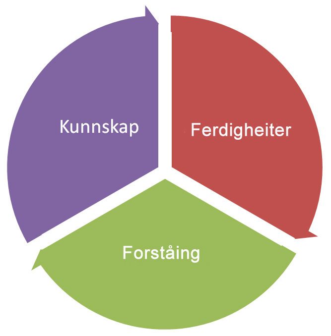 Sirkel delt i tre delar med teksten: kunnskapar, ferdigheiter og forståing. Illustrasjon.
