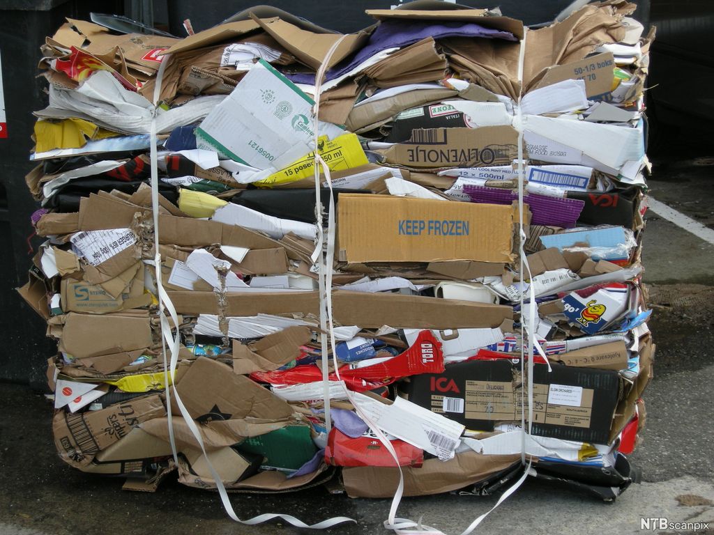 Bunt med pappemballasje i konteiner. Foto.