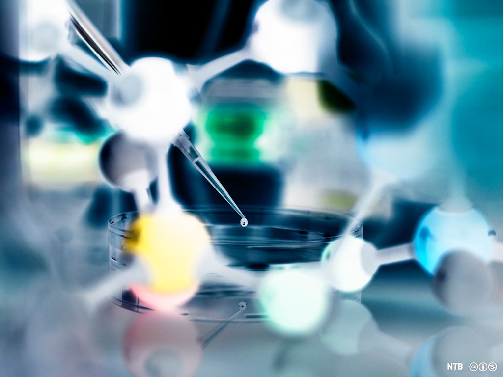 Pipettering i ei petriskål sett gjennom en molekylmodell. Konseptuell illustrasjon av syntetisk biologi. Foto. 