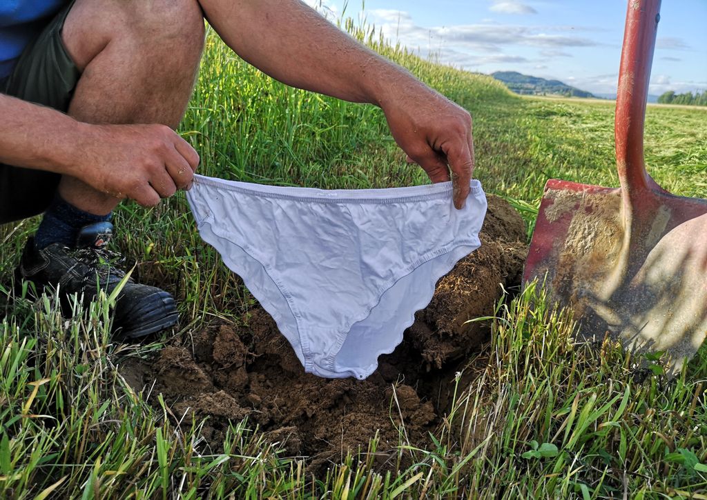 Mann som holder i ei hvit truse over et hull i bakken. Spaden står ved siden av. Foto.