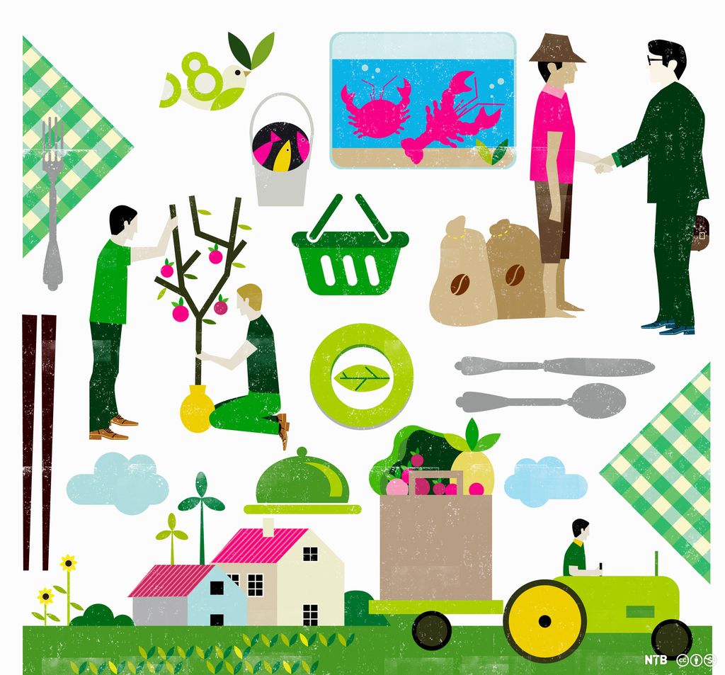 Ulike situasjoner knyttet til mat og matproduksjon illustrert ved fargerike figurer. Illustrasjon.