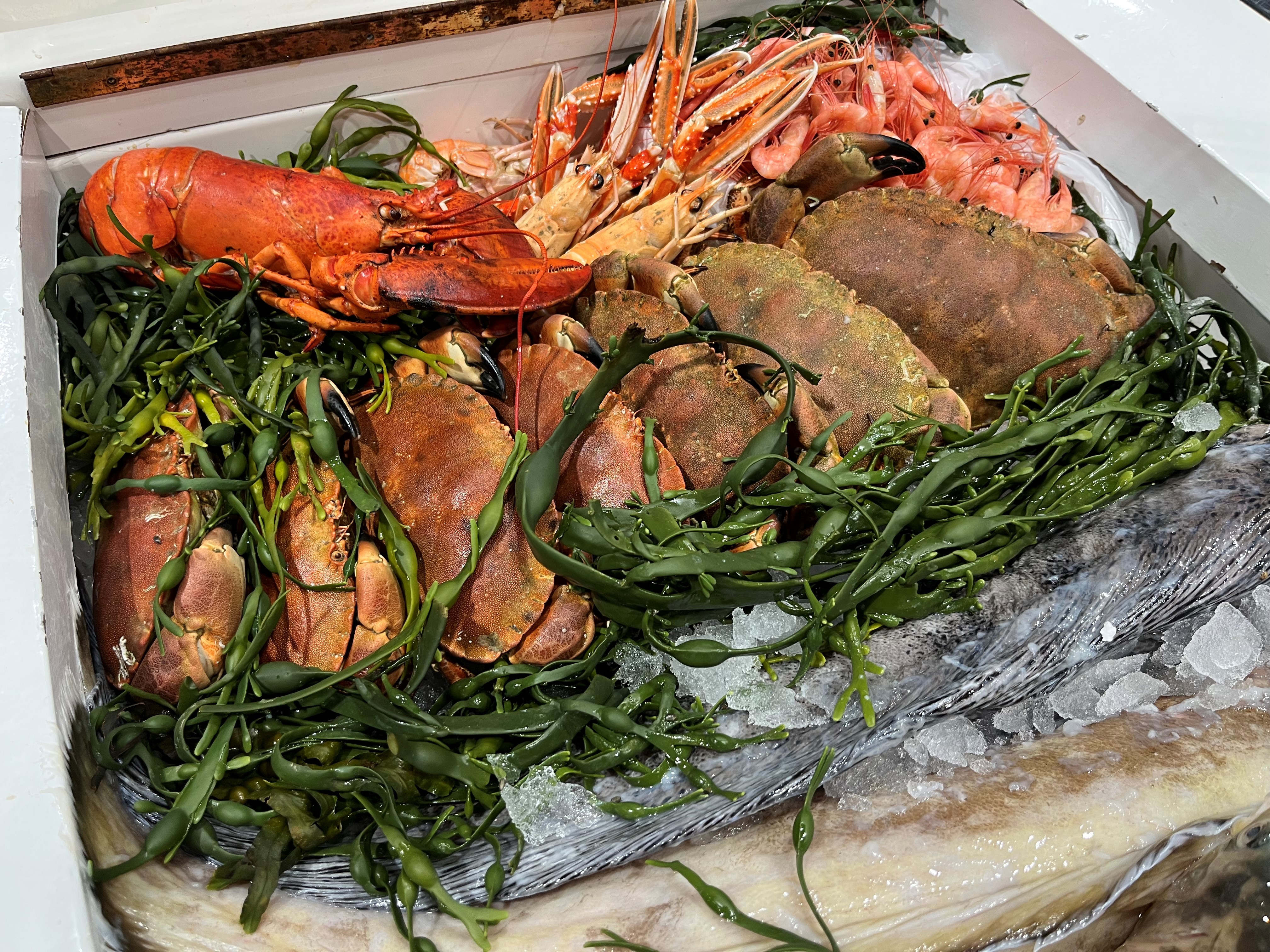 Hummer, kreps, reker og taskekrabbe anrettet sammen med tang. Foto.