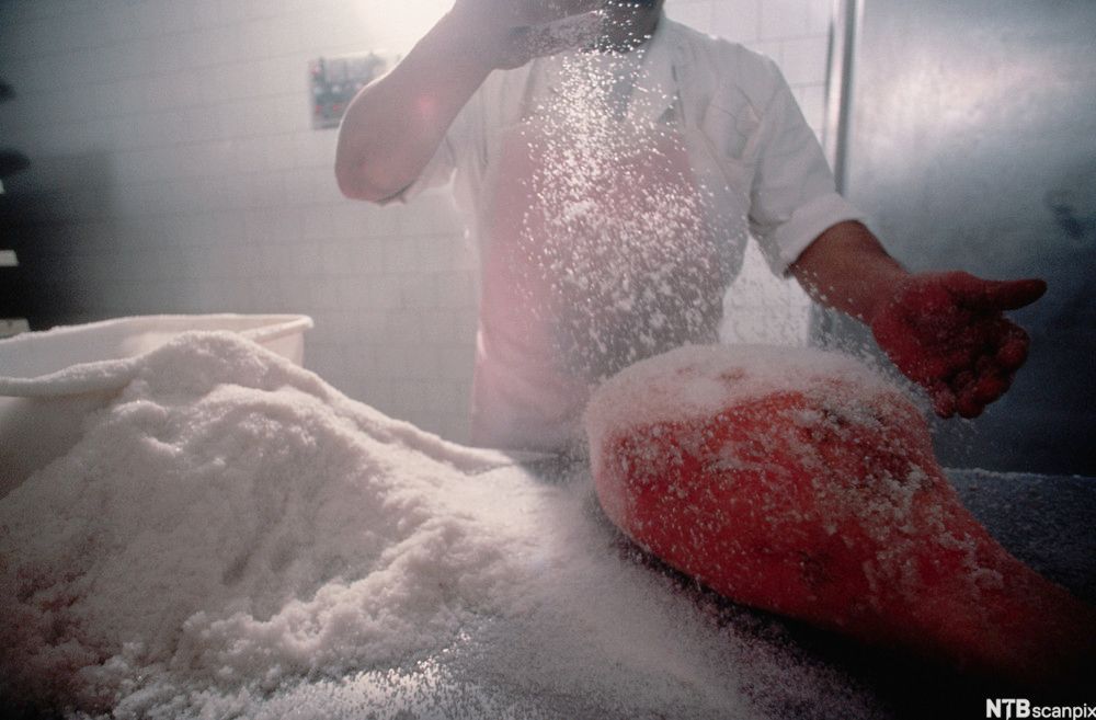 Person som salter ei skinke. Det ligg ein stor haug salt på bordet ved sida av skinka. Foto.