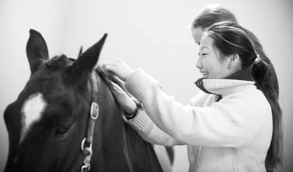 To jenter steller en hest. Foto.
